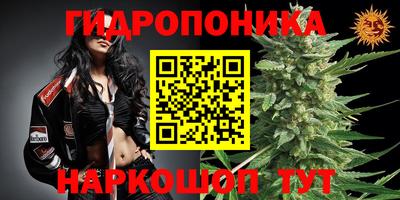 стаф Волгодонск