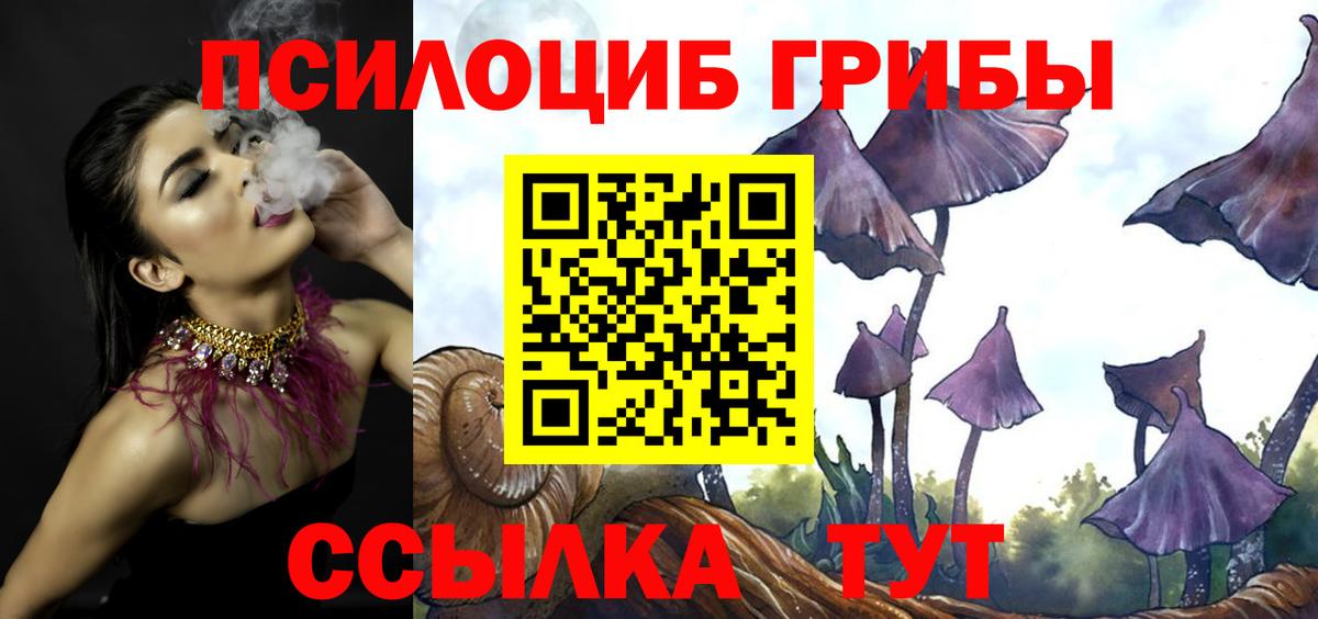 Галлюциногенные грибы Cubensis  Вход с VPN  Югорск  Псилоцибиновые грибы GOLDEN TEACHER 